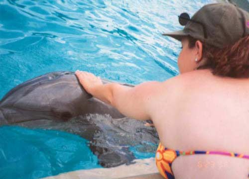 petting the dolphin at sea world !