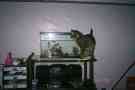 lokie with my fish !
