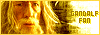 -=Gandalf Fan=-