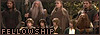 -=The Fellowship=-