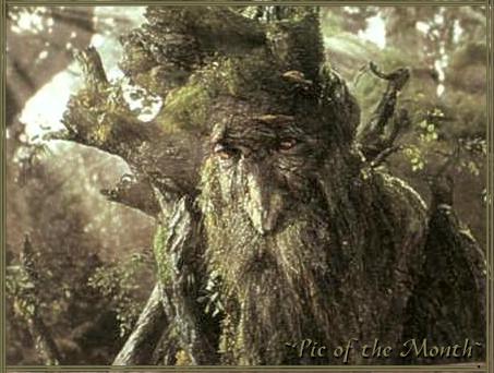 . treebeard .