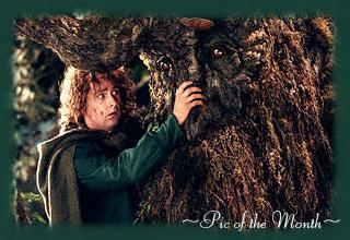 . pippin & treebeard .