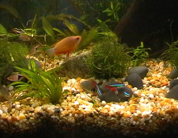 Feeding Time