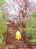 Huongtich2.gif (25586 bytes)
