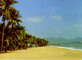 binhdinh2.jpg (9758 bytes)