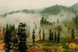 laocai.gif (15598 bytes)