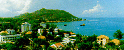 Nvutau03.JPG (6075 bytes)