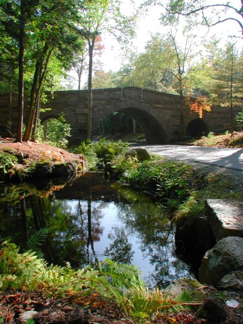 Bridge