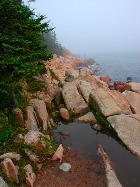 Fog