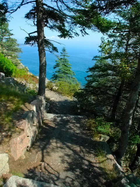 Trail