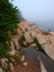 Fog (336,557 bytes)