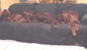 couch