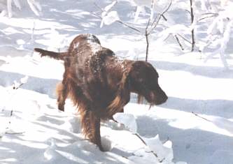 winter day