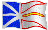 Newfoundland Flag