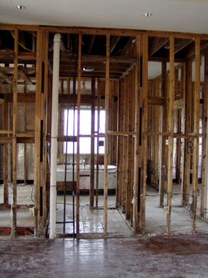 Everything removed but the studs