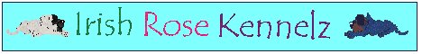 Irish Rose Kennelz