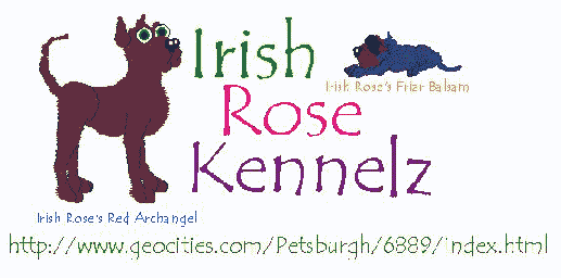 Irish Rose Kennelz