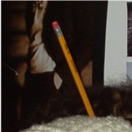 .olivier finds a pencil holder in katie r.