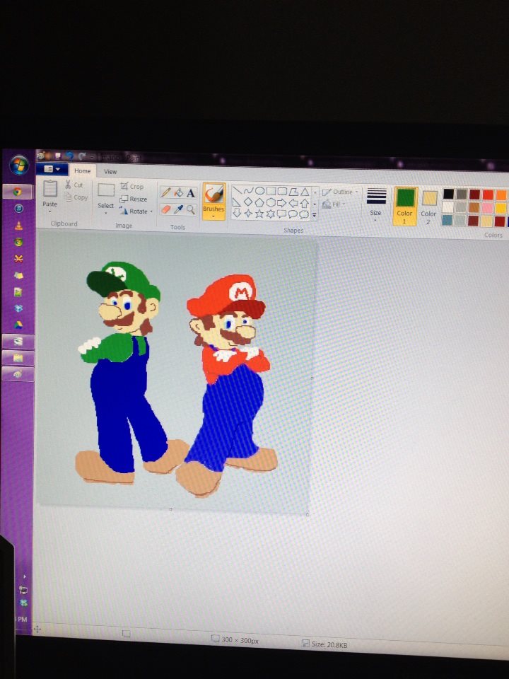 Mario and Luigi