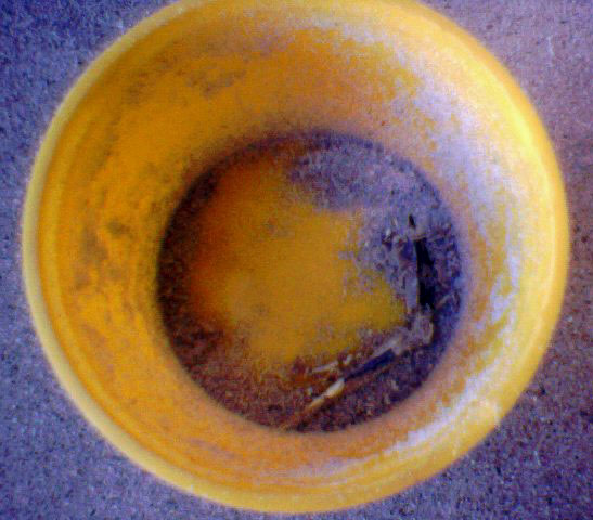 The cup that caught the powder.
