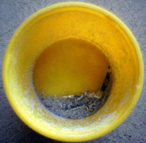 The powder, consolidated in one area of the cup.