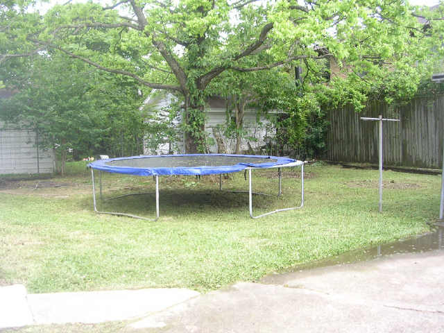 Back yard