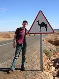 Camels Ahead!!!