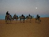 Managed to ride a camel without falling off at last