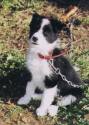 Molly