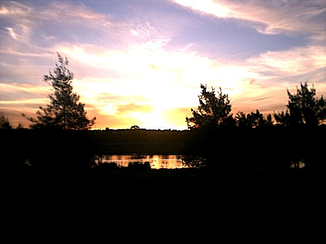 I like this pic...