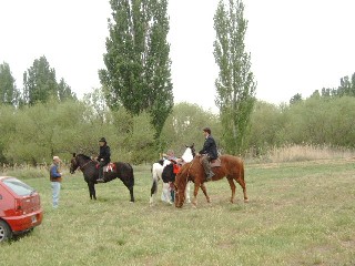 The Horses that will lead the Procession
