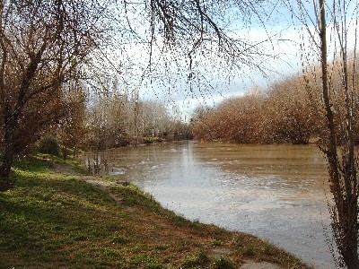 Picturesque view of the Chubut River