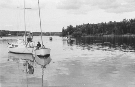 Alex Creek