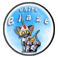 Chibi Blaze!!!