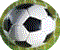 small logo