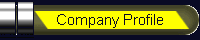 company profile