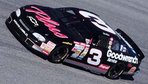 dale13.jpg (19346 bytes)