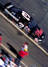 dale7.jpg (15280 bytes)
