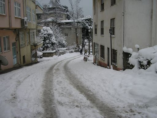 p1010031.jpg