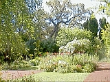 Perth WA 2001 series by Juniper Chew