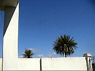 Perth WA 2001 series by Juniper Chew