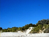 Perth WA 2001 series by Juniper Chew