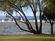 Perth WA 2001 series by Juniper Chew