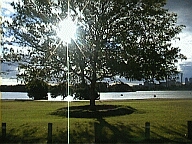 Perth WA 2001 series by Juniper Chew