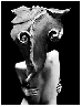 13.gif