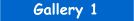 Gallery 1 - under 30 years