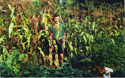 Corn