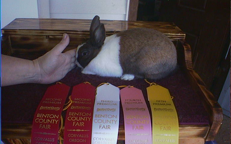 Snickers with her Flat Ribbons...