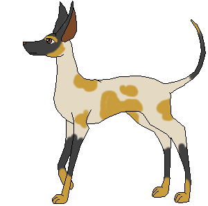 Akuji (Adoption)