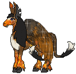 Kirra (Trade)